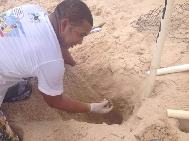 Recanto Verde - Praia De Santo Antonio ديوغو المظهر الخارجي الصورة
