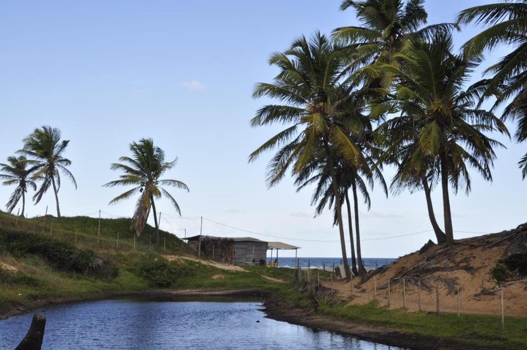 Recanto Verde - Praia De Santo Antonio ديوغو المظهر الخارجي الصورة